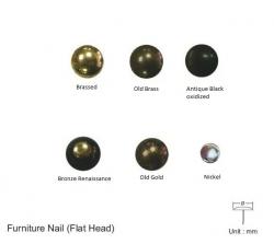 FURNITURE NAIL (FLAT HEAD)- 20 DIA