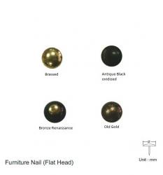 FURNITURE NAIL (FLAT HEAD)- 24 DIA