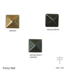 FANCY NAIL (MULTIPLE FINISHES)