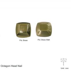 OCTAGON HEAD NAIL